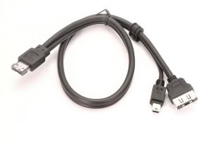 eSATA+USB Combined Cable to an eSATA Female & USB Mini