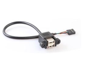 DOUBLE USB A FEMALE TO 2*5P 2.54PH HSG  L=0.5M 