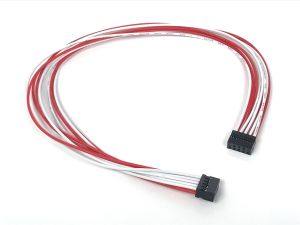 Internal 2mm- Rectangular connector 10 Pin Female to Female 12 Inches