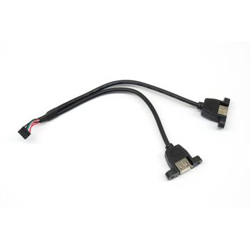 2 USB 2.0 Panel Female Connectors to 10 Pin 2.0mm - 8 Inches